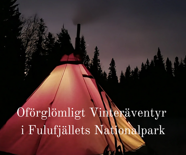 Oförglömligt vinteräventyr i Fulufjällets nationalpark