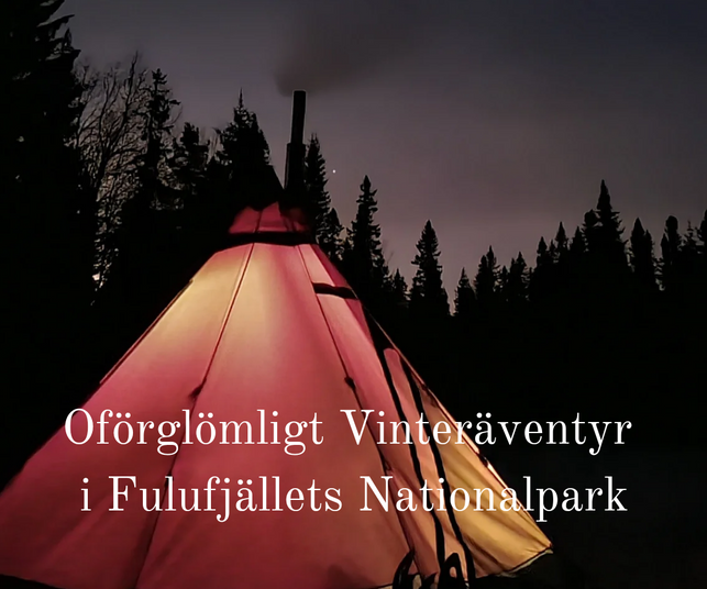 Ett Oförglömligt vinteräventyr i Fulufjällets nationalpark - Paket