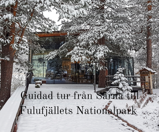 Guidad tur till Naturum Fulufjället med minibuss