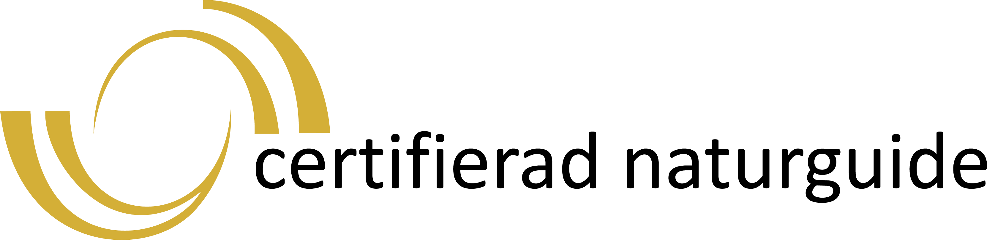 CNG Logo Color (1)
