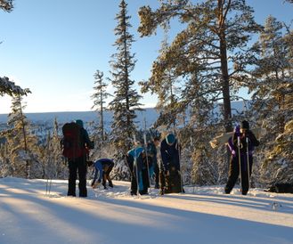 Snöskovandring i Fulufjällets nationalpark på fjället och i urskog